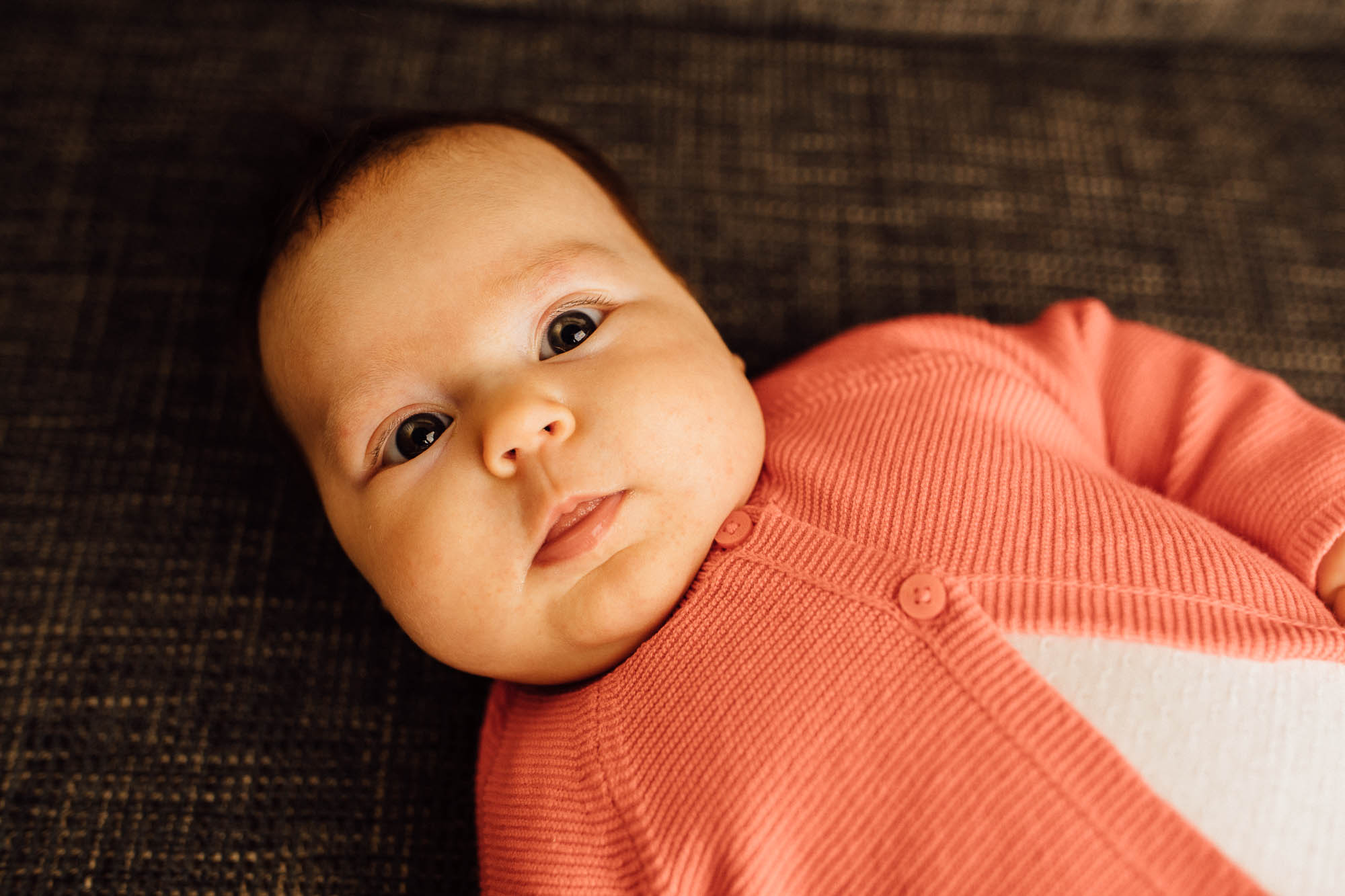 Export x3 5D4 0435 Familyfotoshooting 2020 Rossbach